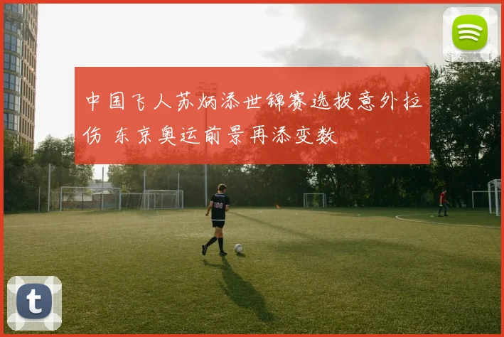 中国飞人苏炳添世锦赛选拔意外拉伤 东京奥运前景再添变数