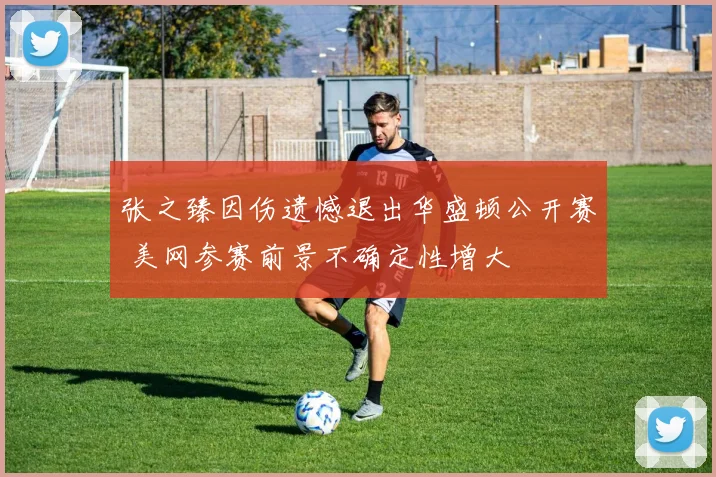 张之臻因伤遗憾退出华盛顿公开赛 美网参赛前景不确定性增大