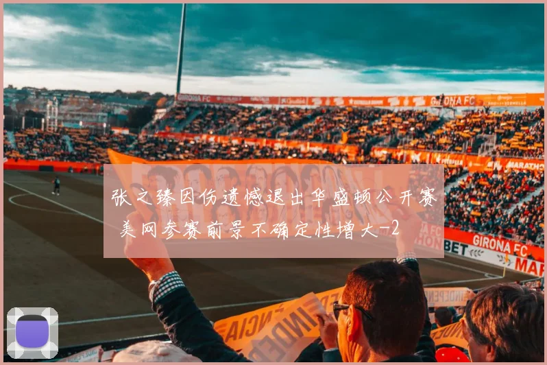张之臻因伤遗憾退出华盛顿公开赛 美网参赛前景不确定性增大
